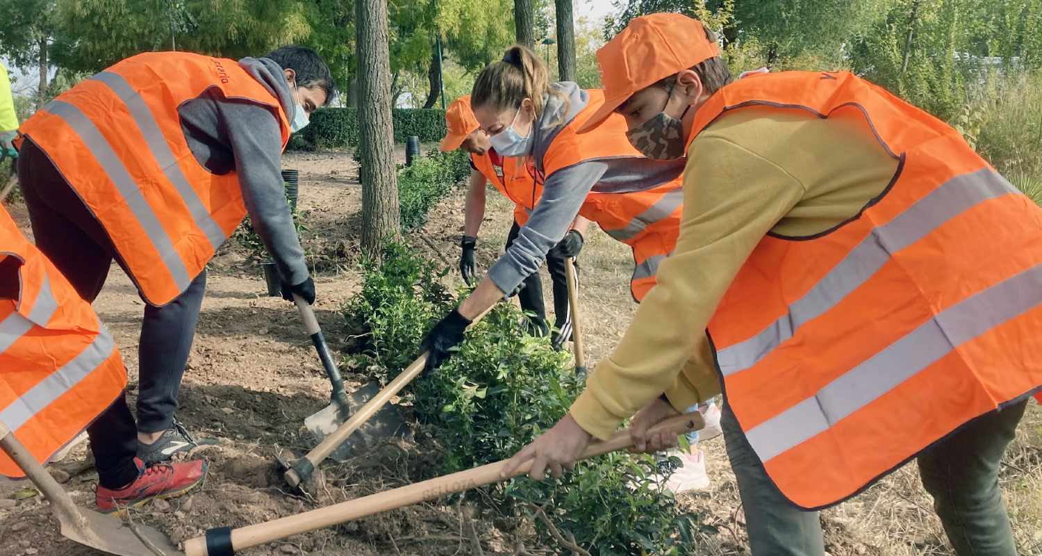 Un grupo de voluntarios traballando